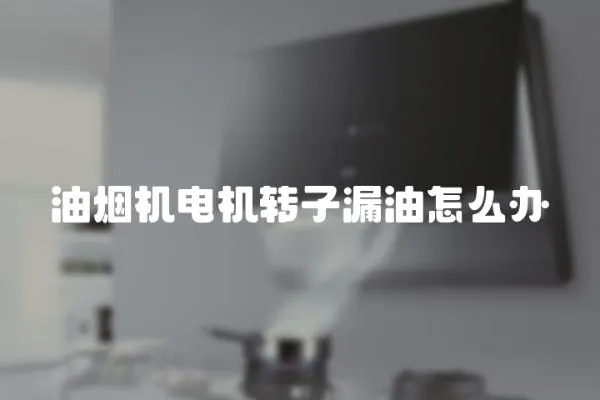 油煙機電機轉子漏油怎么辦