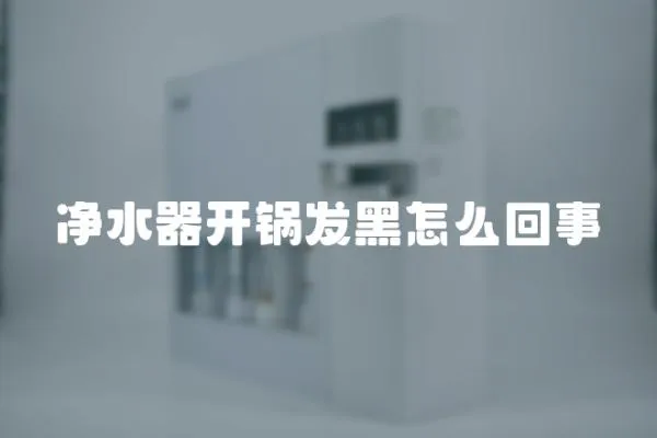 凈水器開鍋發黑怎么回事