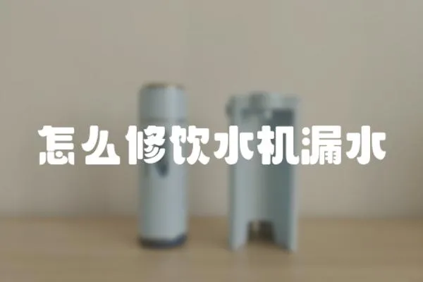 怎么修飲水機漏水