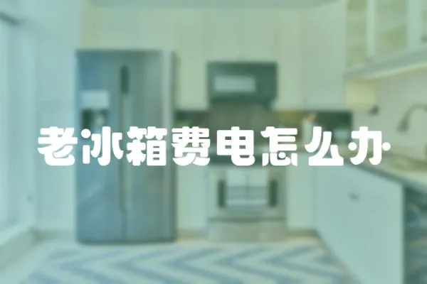 老冰箱費電怎么辦