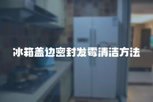 冰箱蓋邊密封發霉清潔方法