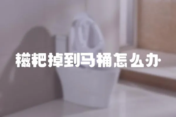 糍粑掉到馬桶怎么辦