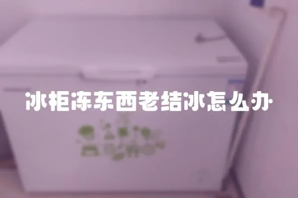 冰柜凍東西老結冰怎么辦