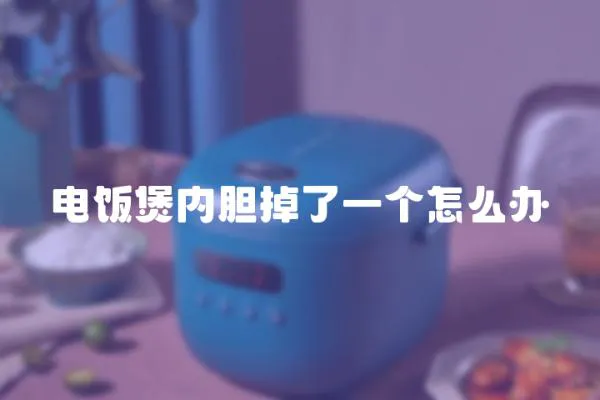 電飯煲內膽掉了一個怎么辦