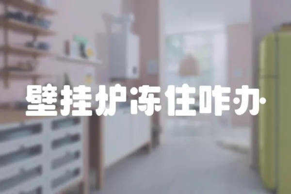 壁掛爐凍住咋辦