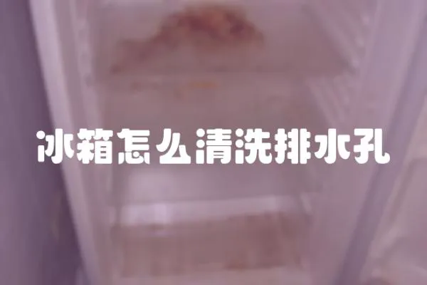 冰箱怎么清洗排水孔