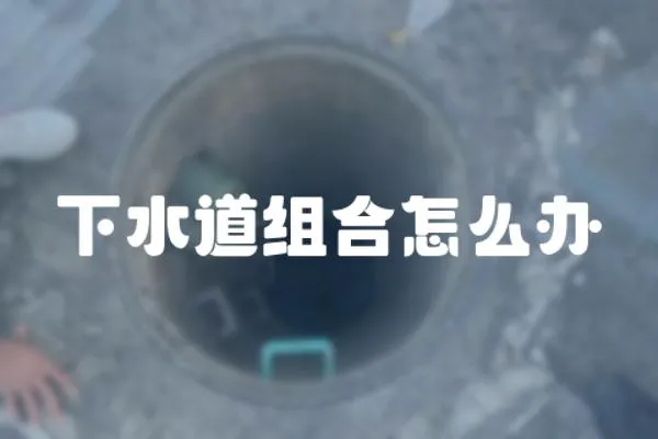 下水道組合怎么辦