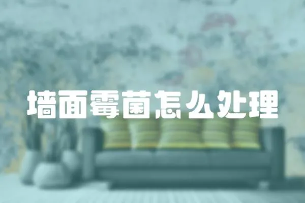 墻面霉菌怎么處理
