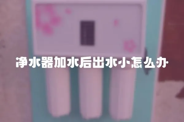 凈水器加水后出水小怎么辦