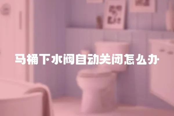 馬桶下水閥自動關閉怎么辦