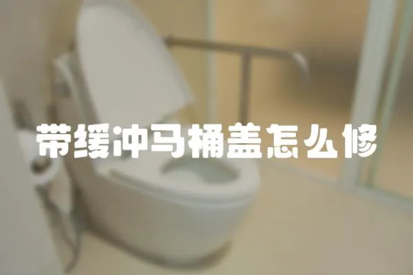帶緩沖馬桶蓋怎么修