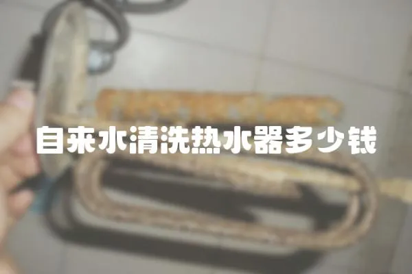 自來水清洗熱水器多少錢