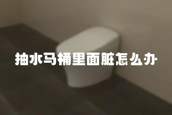 抽水馬桶里面臟怎么辦