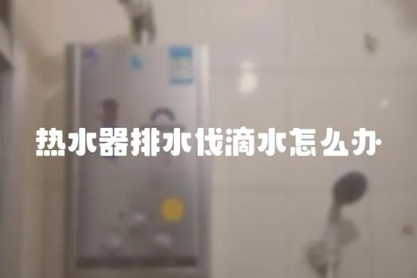 熱水器排水伐滴水怎么辦