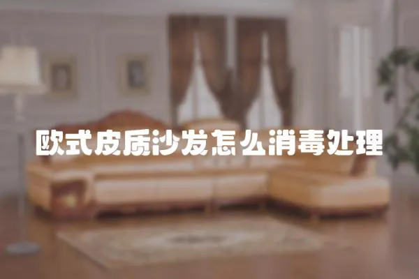 歐式皮質沙發怎么消毒處理