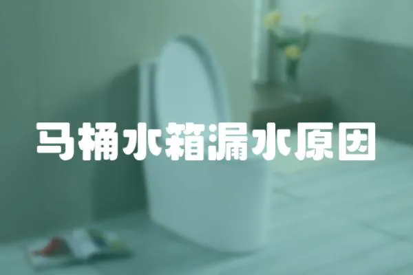 馬桶水箱漏水原因