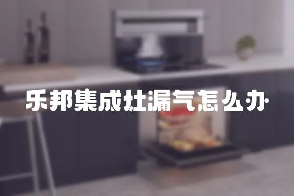 樂邦集成灶漏氣怎么辦