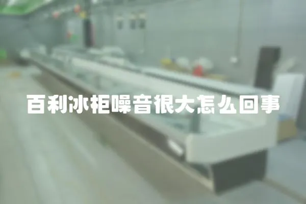 百利冰柜噪音很大怎么回事
