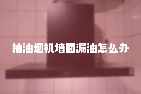 抽油煙機墻面漏油怎么辦
