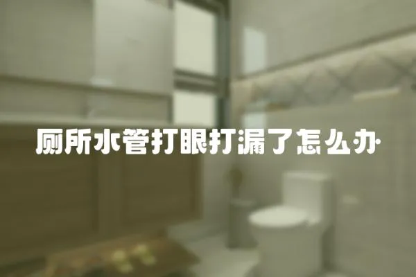 廁所水管打眼打漏了怎么辦
