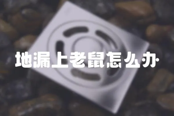 地漏上老鼠怎么辦