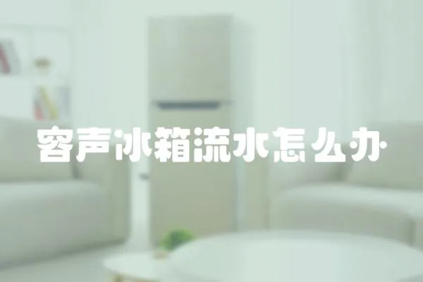 容聲冰箱流水怎么辦