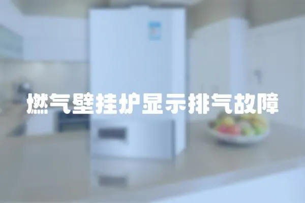 燃?xì)獗趻鞝t顯示排氣故障
