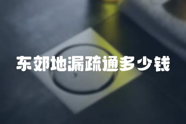 東郊地漏疏通多少錢