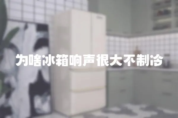 為啥冰箱響聲很大不制冷