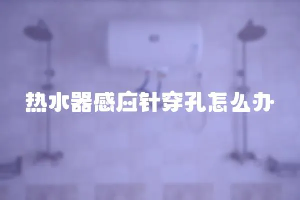 热水器感应针穿孔怎么办