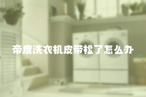 帝度洗衣機皮帶松了怎么辦