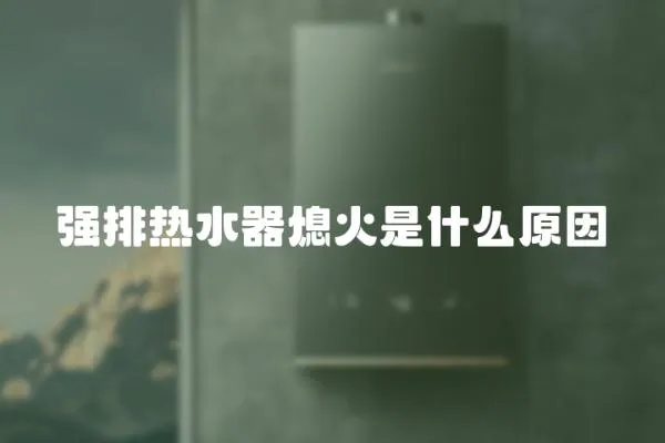 強排熱水器熄火是什么原因