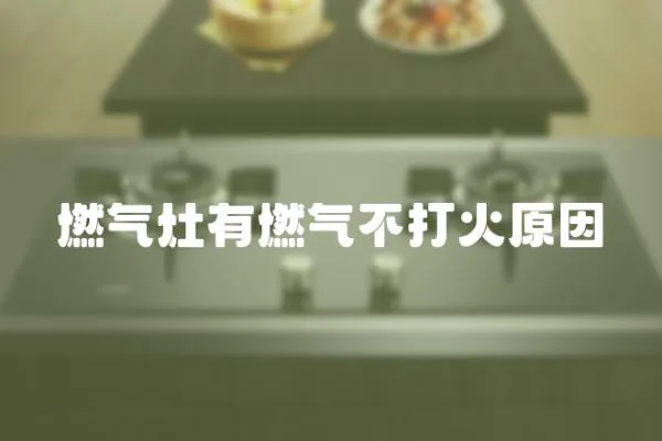 燃氣灶有燃氣不打火原因