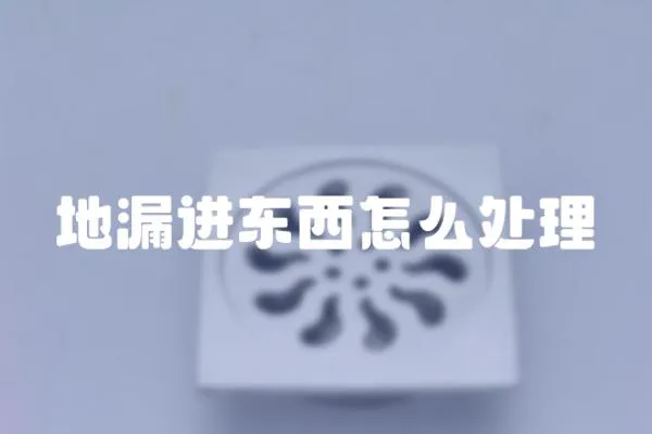 地漏進東西怎么處理