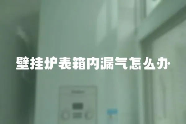 壁掛爐表箱內漏氣怎么辦