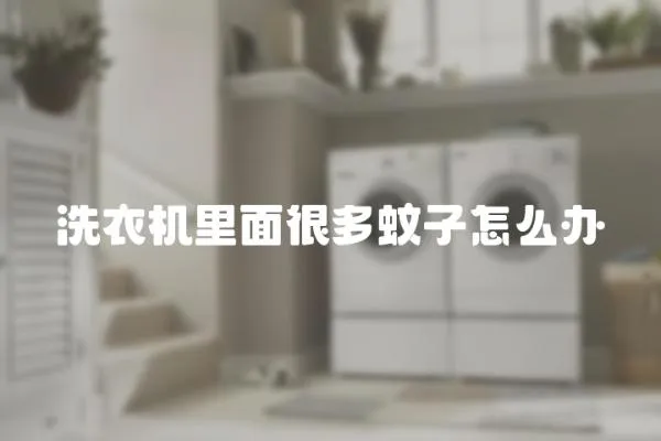洗衣機里面很多蚊子怎么辦