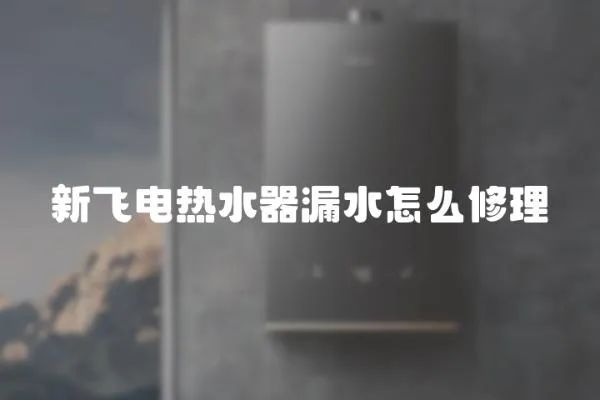 新飛電熱水器漏水怎么修理