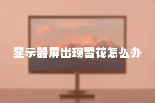 顯示器屏出現(xiàn)雪花怎么辦