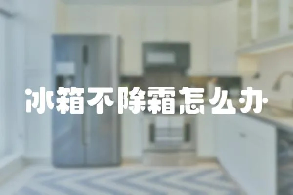 冰箱不除霜怎么辦