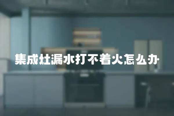 集成灶漏水打不著火怎么辦