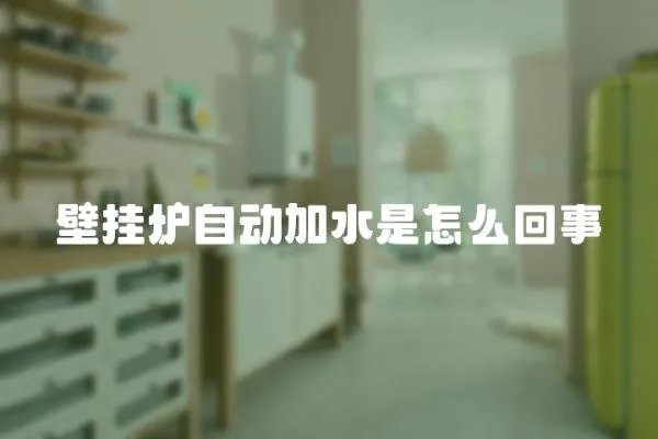 壁掛爐自動(dòng)加水是怎么回事