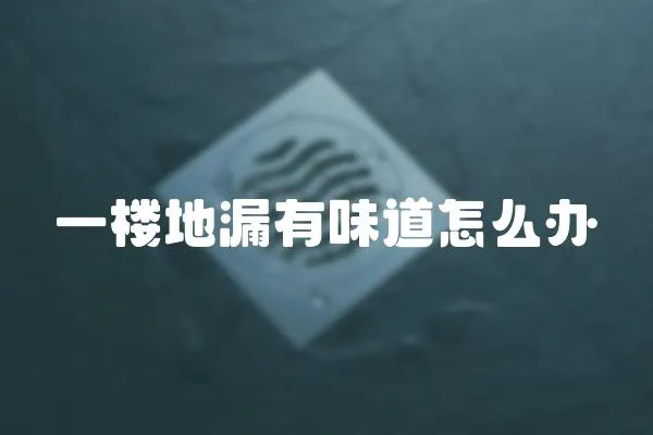 一樓地漏有味道怎么辦