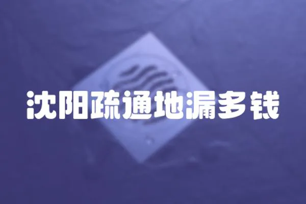 沈陽疏通地漏多錢