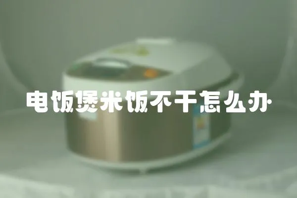 電飯煲米飯不干怎么辦
