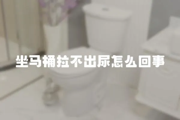 坐馬桶拉不出尿怎么回事