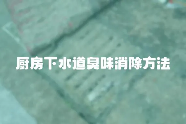 廚房下水道臭味消除方法