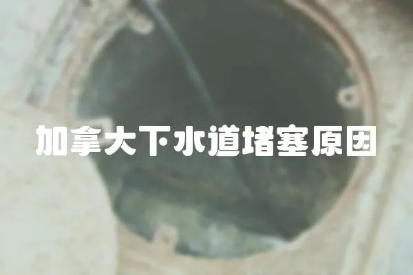 加拿大下水道堵塞原因