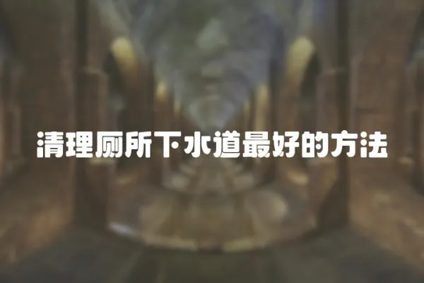 清理廁所下水道最好的方法