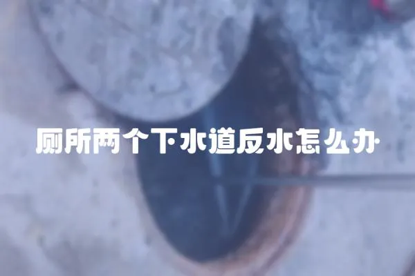 廁所兩個(gè)下水道反水怎么辦