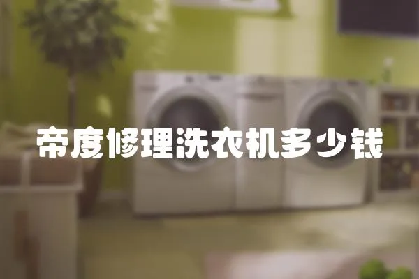 帝度修理洗衣機多少錢